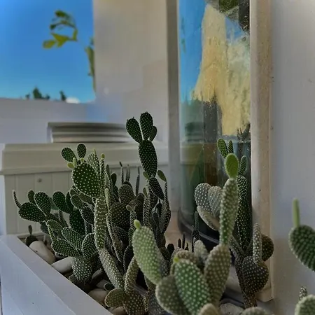 Ippolita Palace Otranto